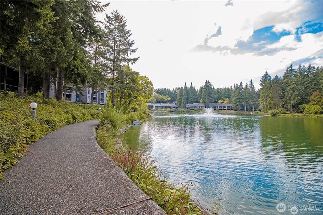 13838 NE 60th St Unit 165, Redmond, WA 98052 - water view