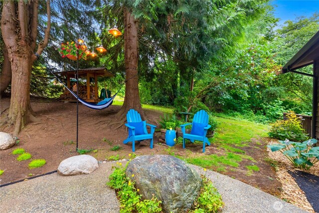 26639 NE Stewart St, Duvall, WA 98019 - view of yard