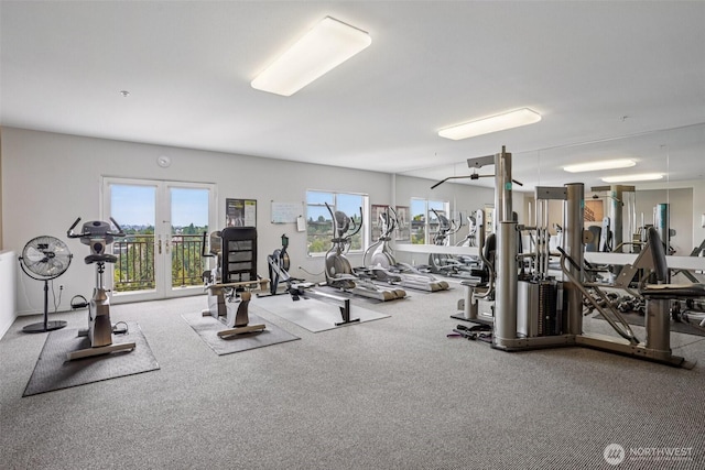 3221 SW Avalon Way Unit 113, Seattle, WA 98126 - exercise room with healthy amount of natural light, french doors, and carpet