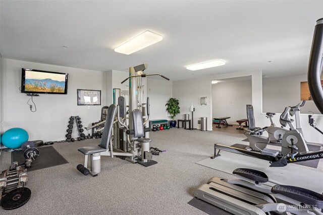 3221 SW Avalon Way Unit 113, Seattle, WA 98126 - view of exercise room