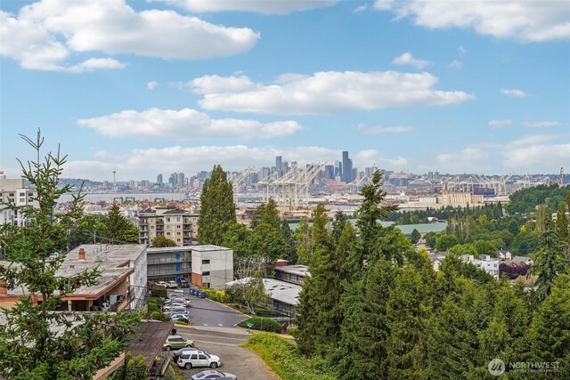 3221 SW Avalon Way Unit 113, Seattle, WA 98126 - view of city skyline