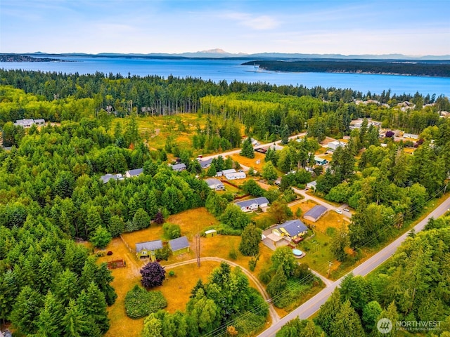 783 Prospect Ave, Port Townsend, WA 98368 - photo 3