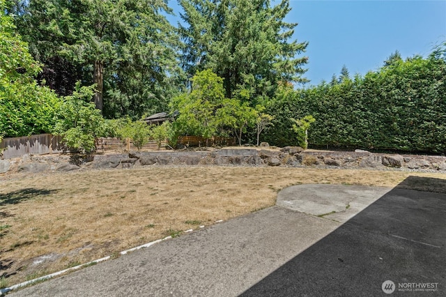 13726 SE 24th St, Bellevue, WA 98005 - view of yard with a patio