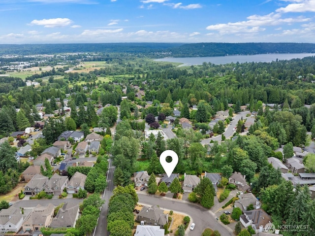 5044 157th Ct NE, Redmond, WA 98052 - aerial view of residential area with a nearby body of water