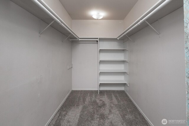 23430 100th Ave SE Unit E102, Kent, WA 98031 - spacious closet featuring carpet floors