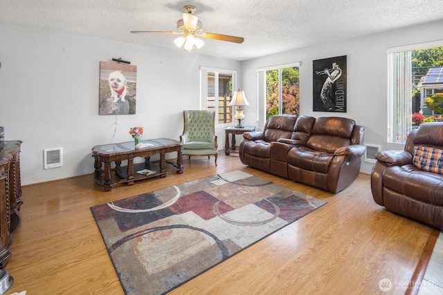 3235 33rd Ave S, Seattle, WA 98144 - living room featuring a textured ceiling, wood finished floors, a ceiling fan, and plenty of natural light