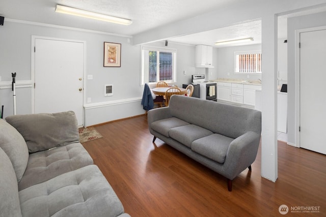 3235 33rd Ave S, Seattle, WA 98144 - living area featuring wood finished floors, healthy amount of natural light, and a textured ceiling