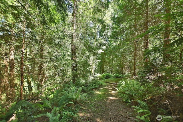 4345 Glendale Rd, Clinton, WA 98236 - photo 39