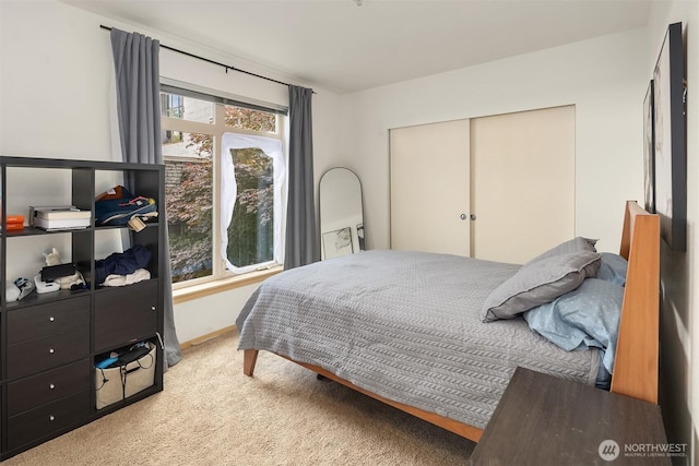 1610 Belmont Ave Unit 314, Seattle, WA 98122 - bedroom featuring carpet flooring and a closet