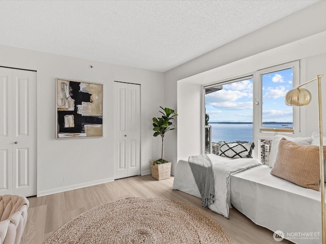 121 Vine St Unit 2405, Seattle, WA 98121 - bedroom with light wood-style floors, a textured ceiling, a water view, two closets, and access to outside