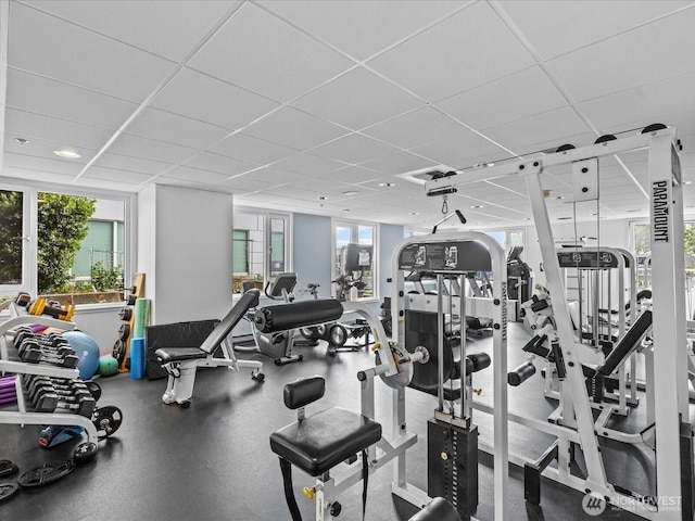 121 Vine St Unit 2405, Seattle, WA 98121 - gym featuring a paneled ceiling