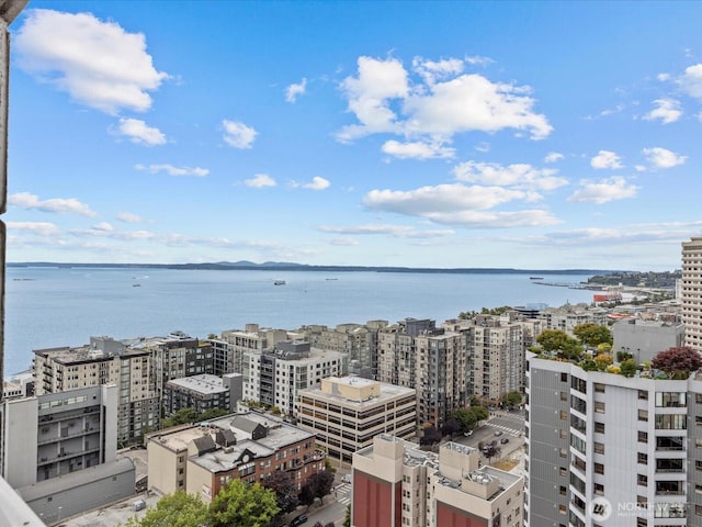 121 Vine St Unit 2405, Seattle, WA 98121 - view of urban area with a nearby body of water