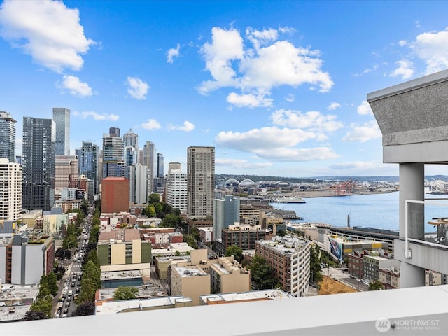 121 Vine St Unit 2405, Seattle, WA 98121 - skyline view featuring a large body of water