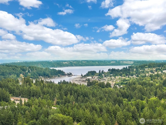 4967 Oceania St, Gig Harbor, WA 98332 - photo 39