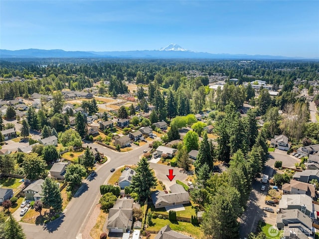 11950 SE 253rd St, Kent, WA 98030 - aerial view of residential area featuring mountains and a heavily wooded area