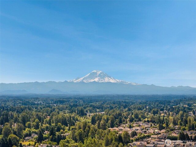 11950 SE 253rd St, Kent, WA 98030 - view of mountain backdrop featuring a forest