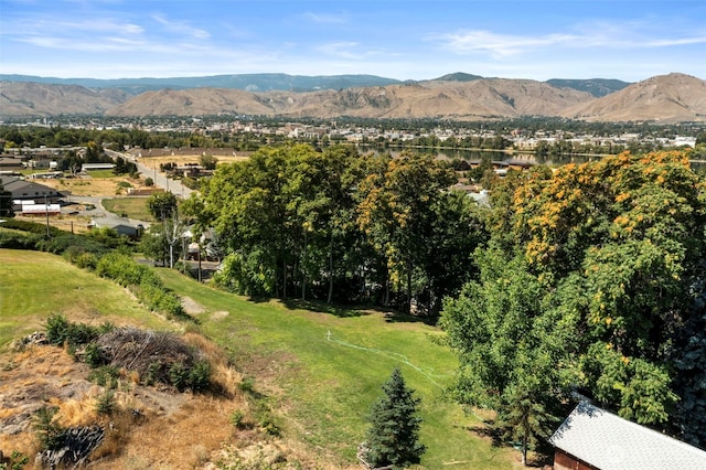 2301 NW Cascade Ave, East Wenatchee, WA 98802 - view of mountain background
