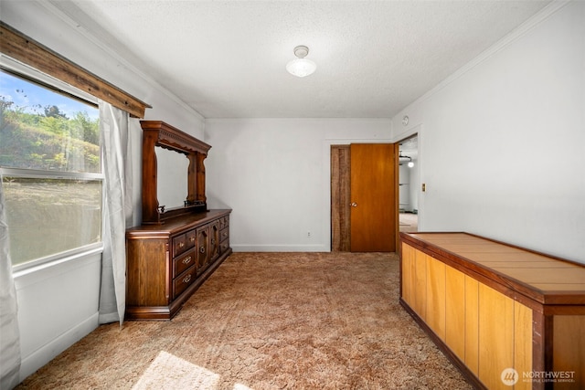 2301 NW Cascade Ave, East Wenatchee, WA 98802 - corridor featuring a textured ceiling, light carpet, and crown molding