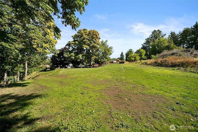 2301 NW Cascade Ave, East Wenatchee, WA 98802 - view of grassy yard