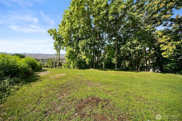 2301 NW Cascade Ave, East Wenatchee, WA 98802 - view of grassy yard