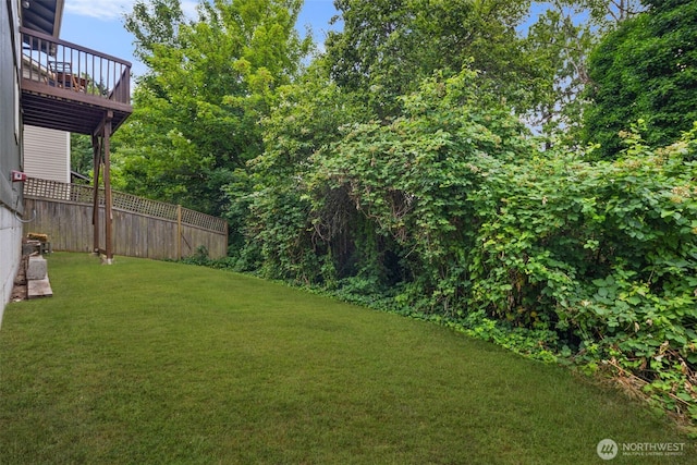 4133 23rd Ave SW, Seattle, WA 98106 - view of yard