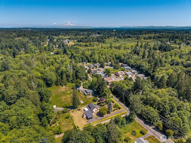 1524 26th Ave NE, Olympia, WA 98506 - aerial overview of property's location featuring a heavily wooded area and property parcel outlined