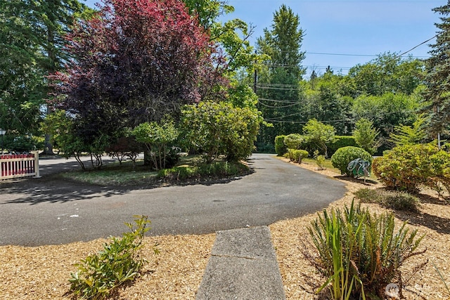 1524 26th Ave NE, Olympia, WA 98506 - view of asphalt road