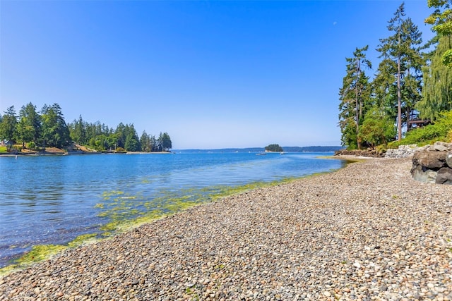 156 Madrona Dr NW, Gig Harbor, WA 98335 - photo 29