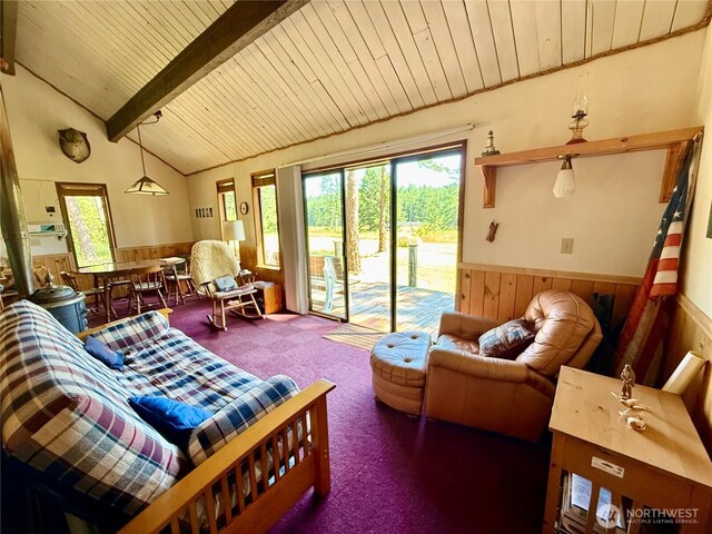 108 N Airport Way, Friday Harbor, WA 98250 - living room with a wainscoted wall, wood ceiling, plenty of natural light, wooden walls, and carpet