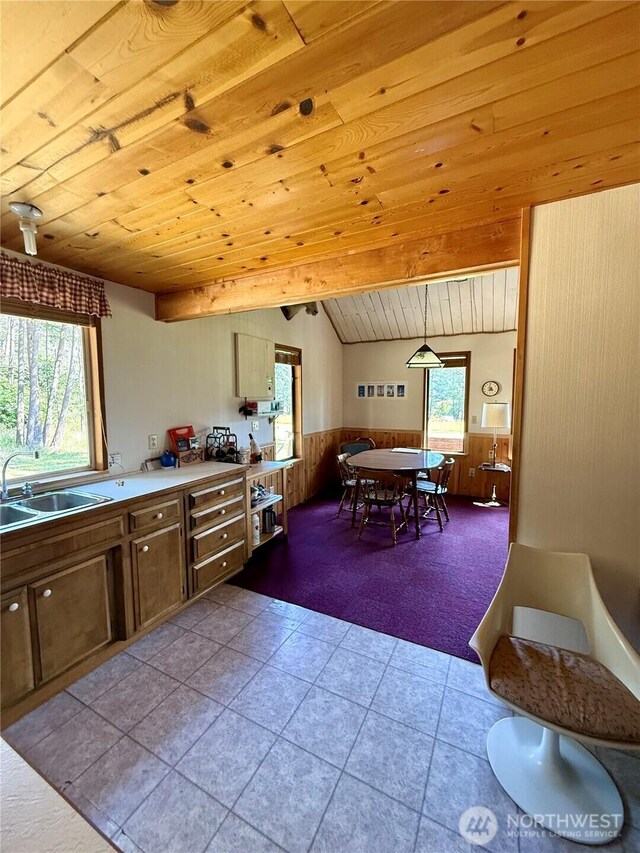 108 N Airport Way, Friday Harbor, WA 98250 - kitchen with wood walls, wainscoting, carpet, wood ceiling, and tile patterned flooring