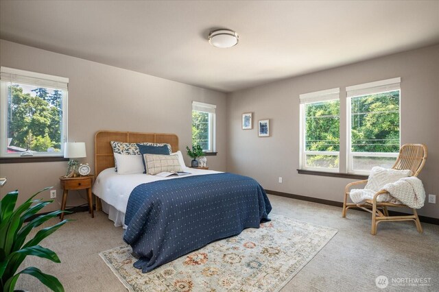 1223 Leahy Dr, Coupeville, WA 98239 - photo 16