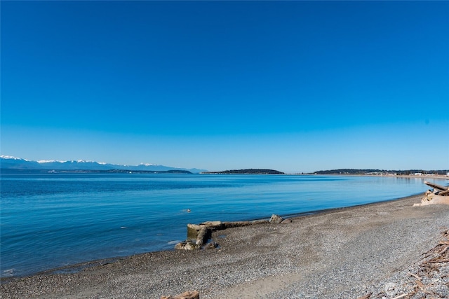 1223 Leahy Dr, Coupeville, WA 98239 - photo 34