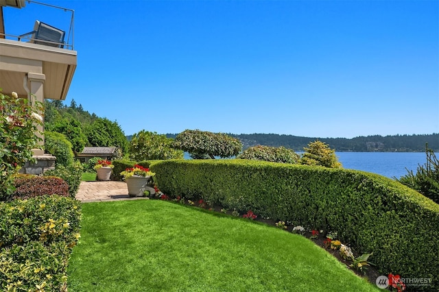 830 W Lake Sammamish Pkwy NE, Bellevue, WA 98008 - photo 32