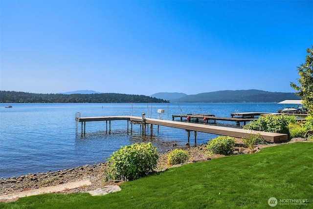 830 W Lake Sammamish Pkwy NE, Bellevue, WA 98008 - photo 34