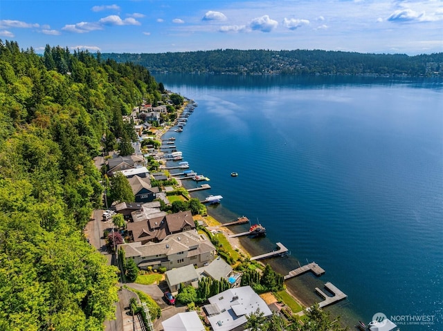 830 W Lake Sammamish Pkwy NE, Bellevue, WA 98008 - photo 37