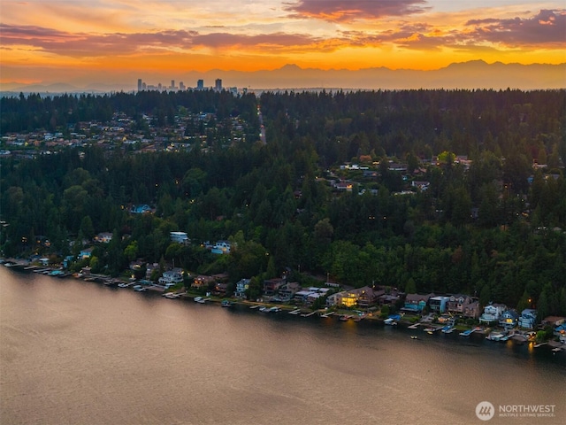 830 W Lake Sammamish Pkwy NE, Bellevue, WA 98008 - photo 39