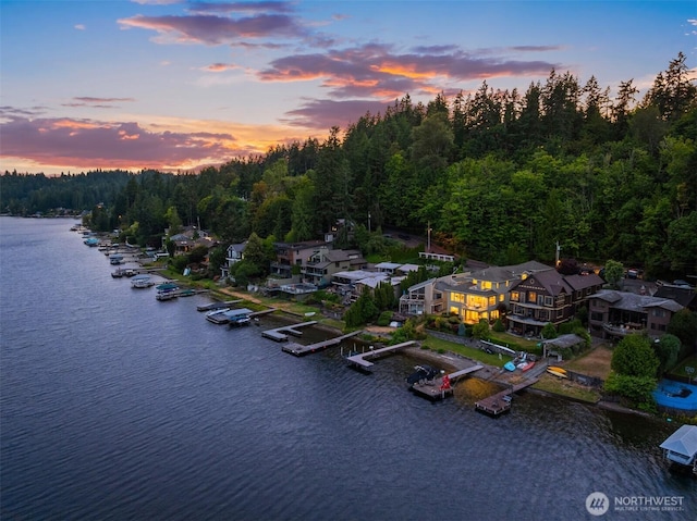 830 W Lake Sammamish Pkwy NE, Bellevue, WA 98008 - photo 40