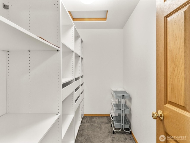 15428 Bornstein Ln SE, Yelm, WA 98597 - spacious closet with carpet flooring