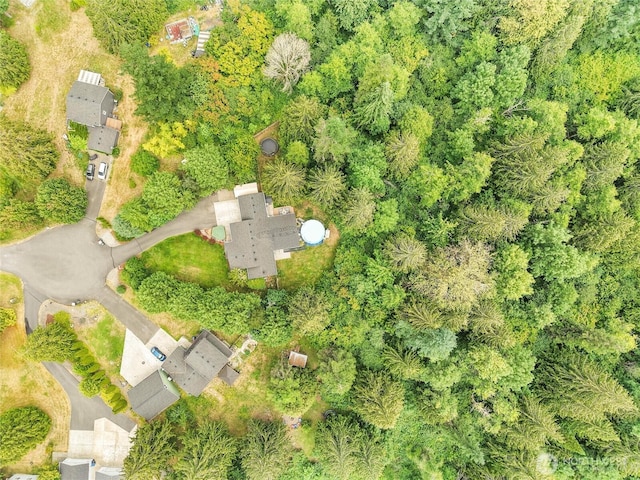 15428 Bornstein Ln SE, Yelm, WA 98597 - aerial overview of property's location