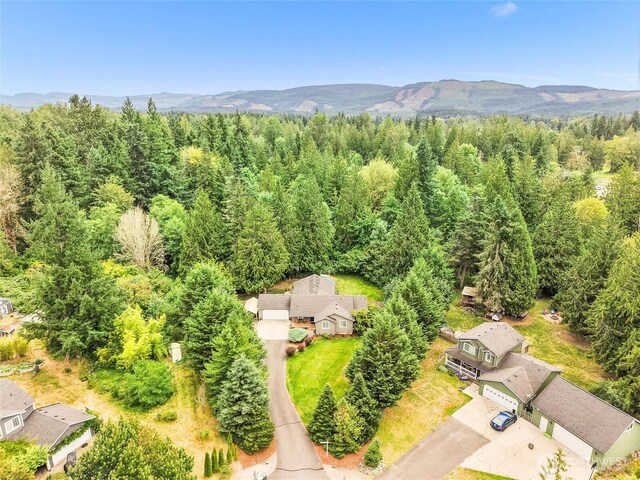 15428 Bornstein Ln SE, Yelm, WA 98597 - aerial view of mountains