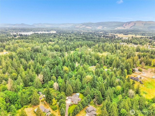 15428 Bornstein Ln SE, Yelm, WA 98597 - aerial view of a mountain backdrop and a heavily wooded area