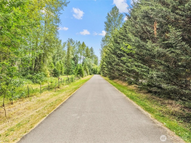 15428 Bornstein Ln SE, Yelm, WA 98597 - view of asphalt road