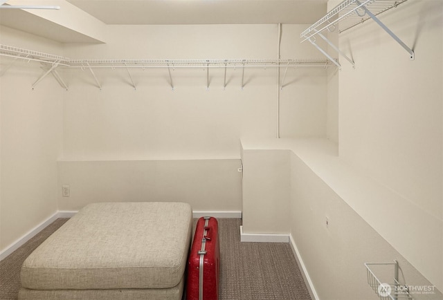 4010 Interlake Ave N, Seattle, WA 98103 - walk in closet featuring carpet floors