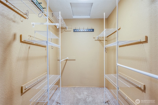 31107 11th Pl SW, Federal Way, WA 98023 - walk in closet featuring carpet flooring
