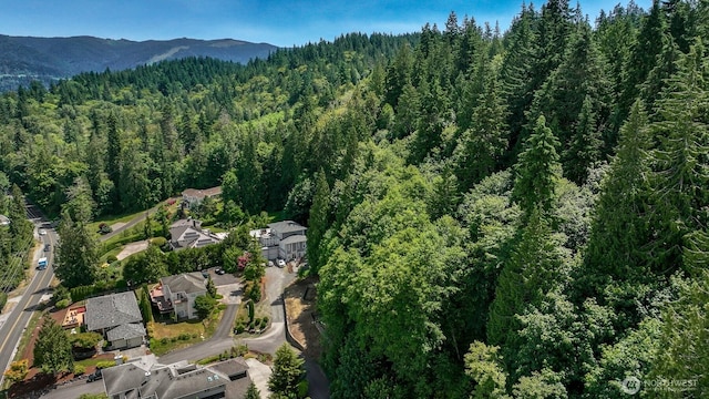 2678 Strawberry Shore Dr, Bellingham, WA 98229 - photo 11
