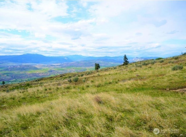 10 Mclaughlin Canyon Rd, Tonasket, WA 98855