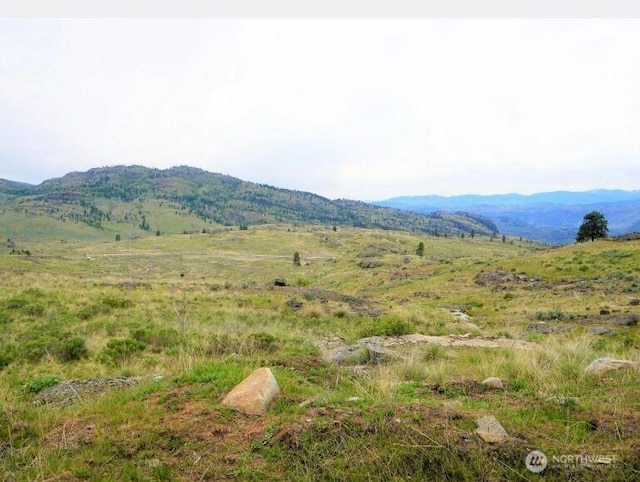 1 Mclaughlin Canyon Rd, Tonasket, WA 98855
