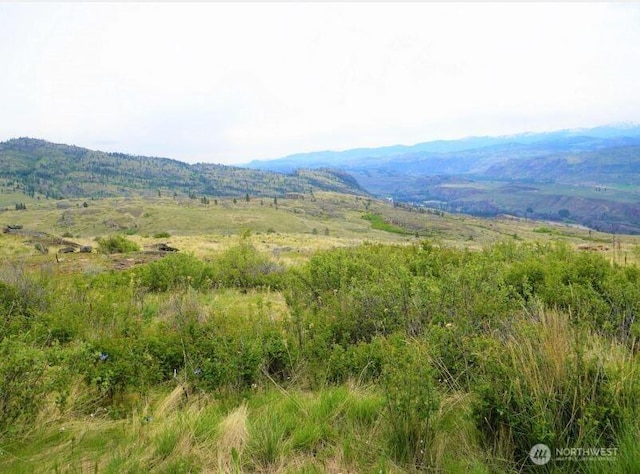 1 Mclaughlin Canyon Rd, Tonasket, WA 98855