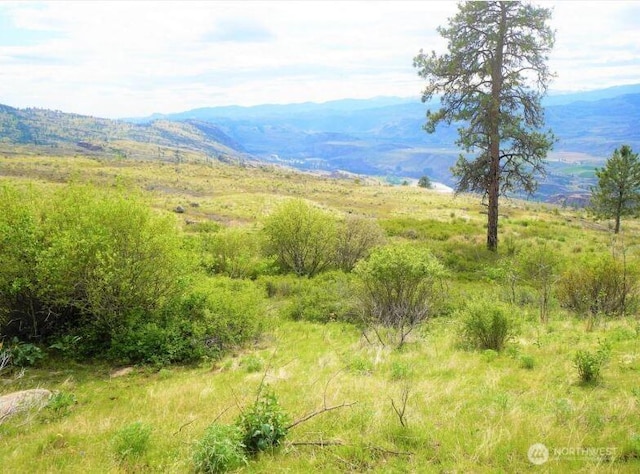 1 Mclaughlin Canyon Rd, Tonasket, WA 98855