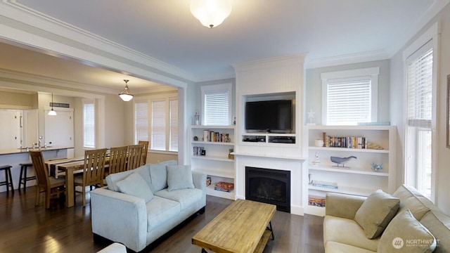 100 Horseshoe Ln, Pacific Beach, WA 98571 - living area with ornamental molding, a fireplace, and dark wood-style flooring